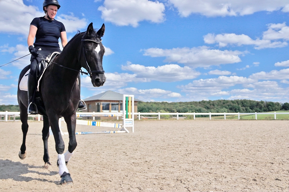 Reiterin auf schwarzem Pferd auf Reitplatz unter blauem Himmel