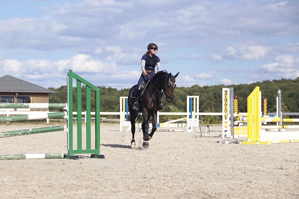Reiterin auf schwarz-braunem Pferd auf Hindernisparcour unter blauem Himmel
