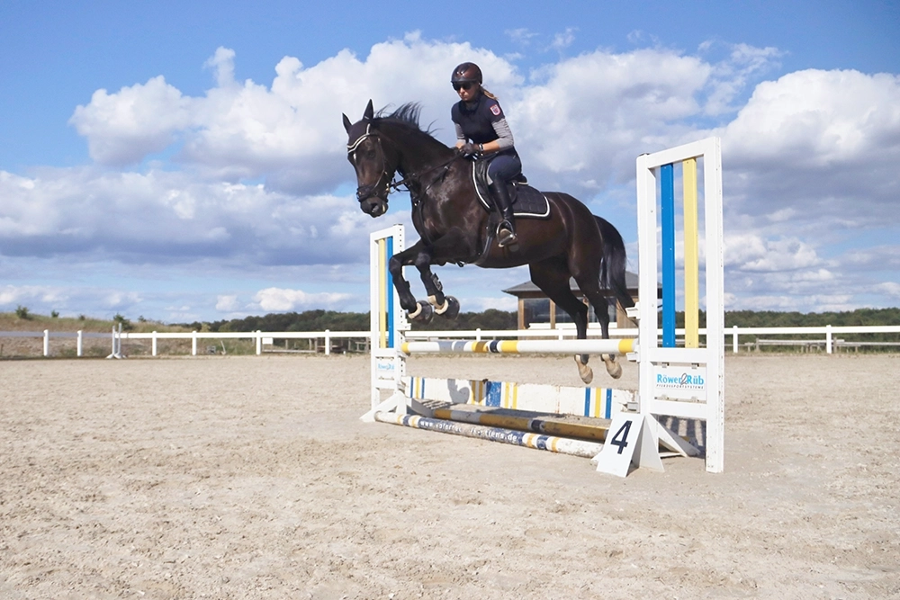 Reiterin auf schwarz-braunem Pferd überspringt Hindernis unter blauem Himmel