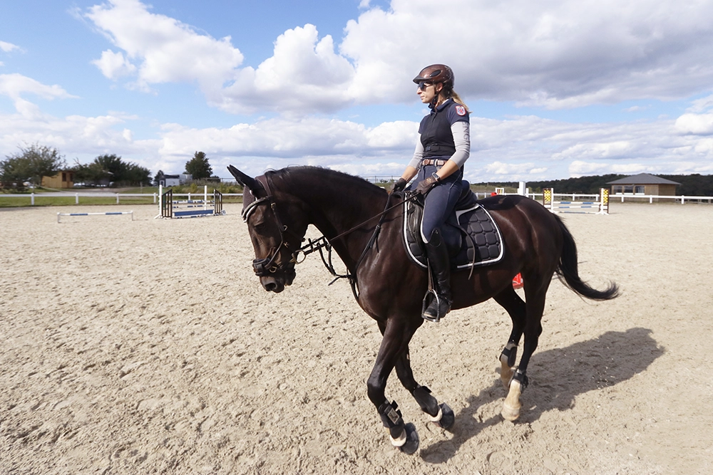Reiterin auf schwarz-braunem Pferd auf Reitplatz unter blauem Himmel