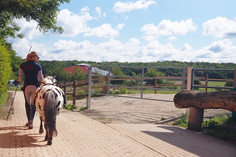 Mitarbeiterin führt Ponny an einem sonnigen Tag über das Gelände des Reiterhofes