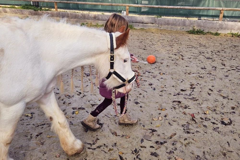 Kind führt ein Ponny und balanciert dabei eine Kugel auf einem Löffel