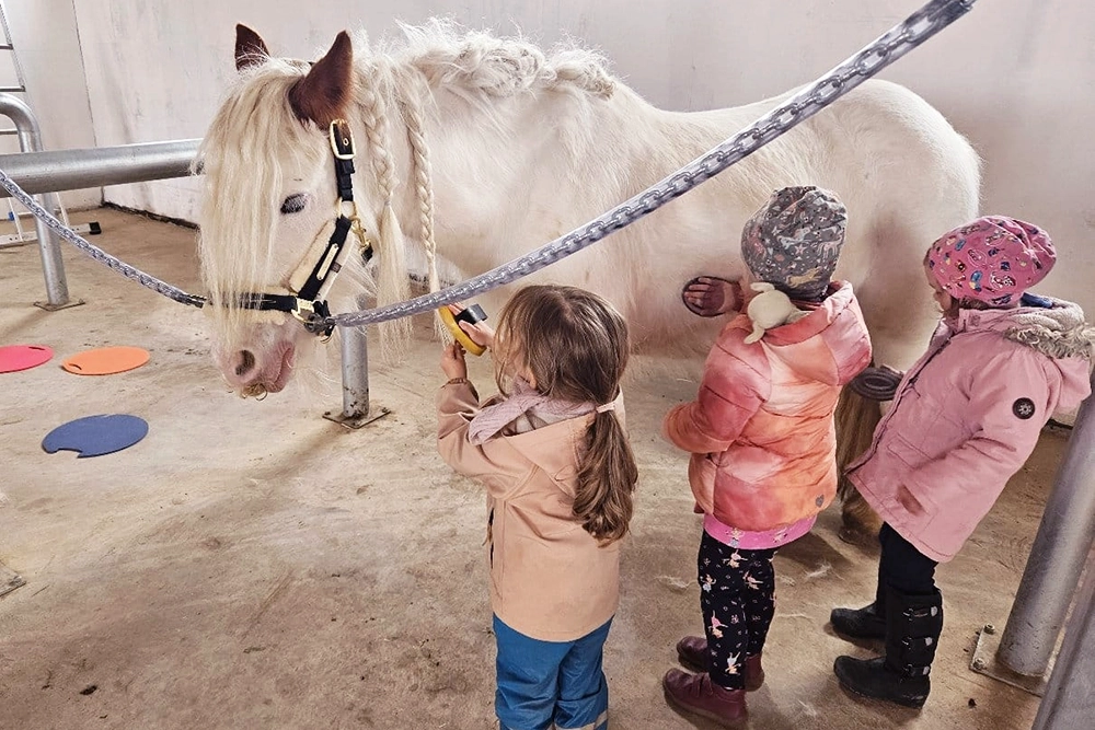 Drei Kinder steigeln ein weißes Ponny