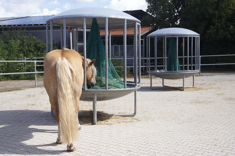 Pferd frisst aus einer freistehenden Fütterungsanlage