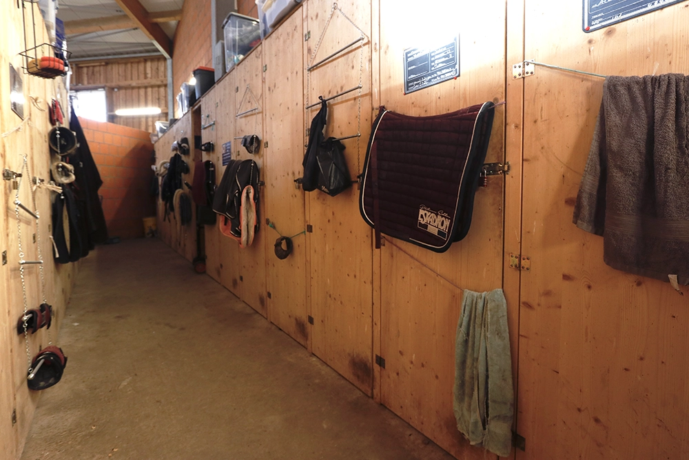Sattelkammer, Reitausrüstung hängt an Wänden