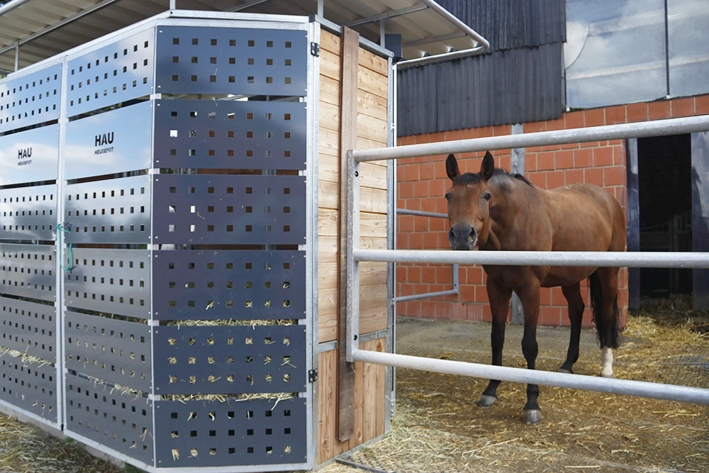 Pferd steht neben Heubox