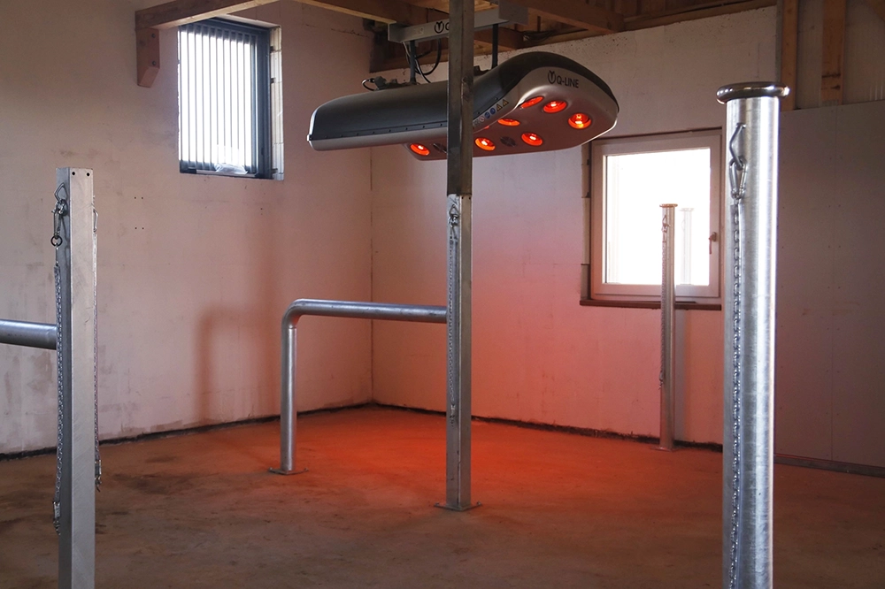 Solarium für Pferde