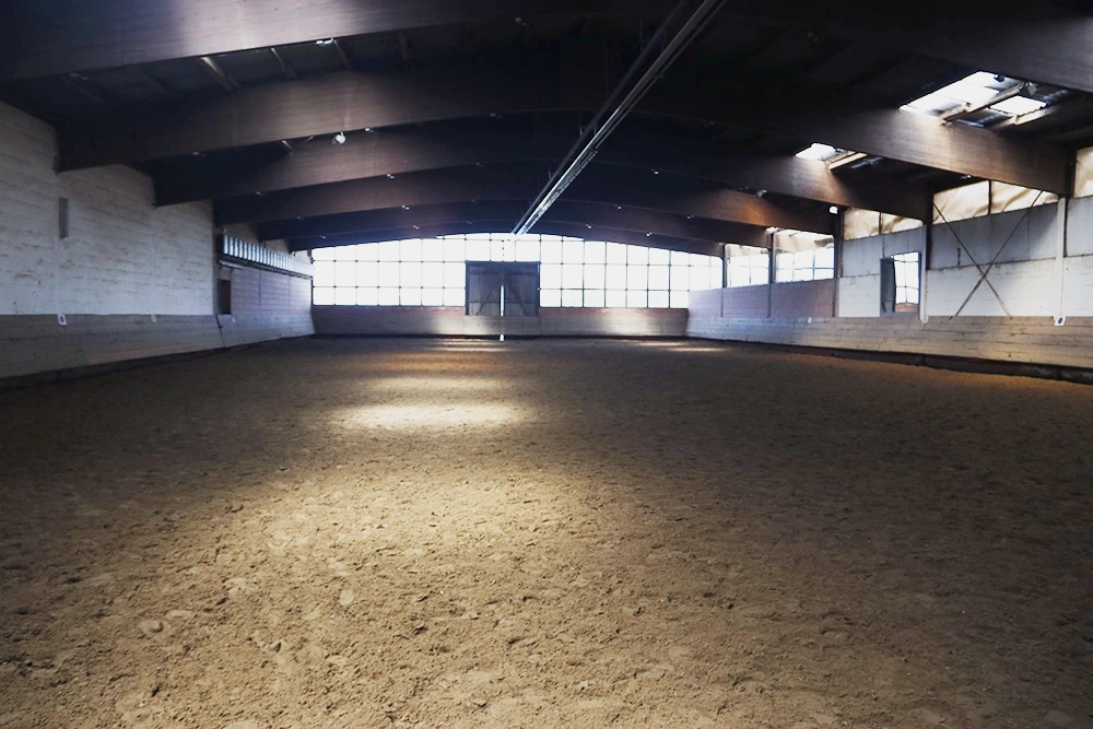 Reithalle 20 × 60 Meter