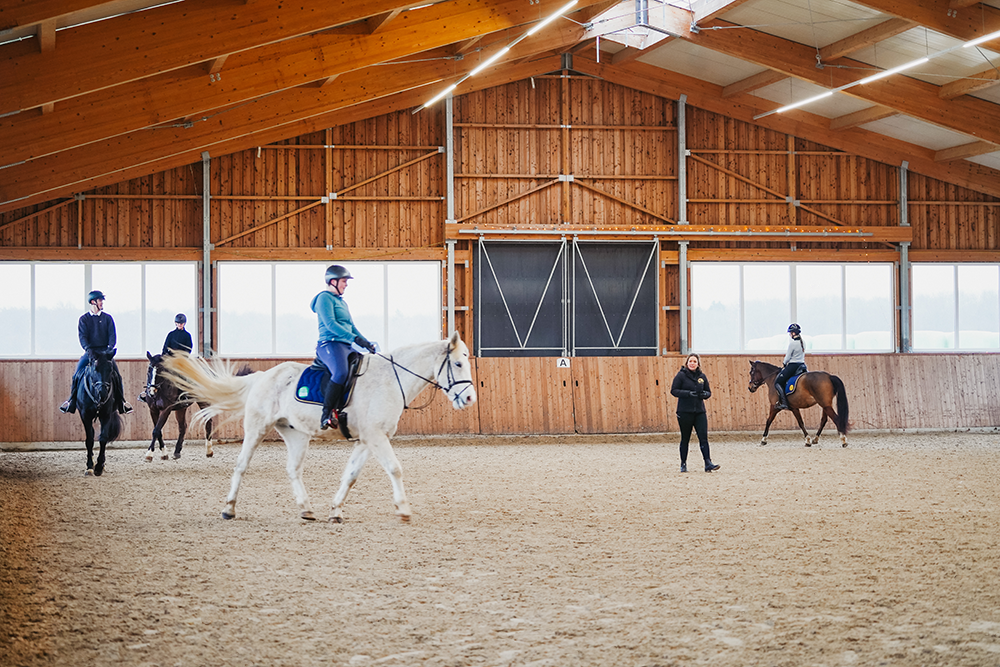 Gruppe von erwachsenen Reitschülern auf Pferden in Reithalle, Trainerin beobachtet