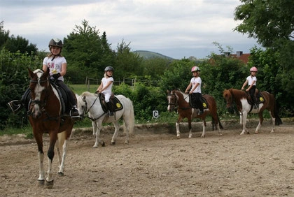 Kleine Gruppe von Kindern reitet Ponnys auf Reitplatz