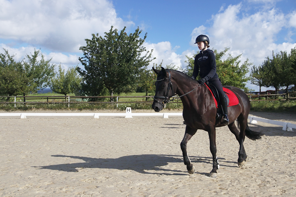 Reitschülerin auf dunkelbraunem Pferd auf Reitplatz