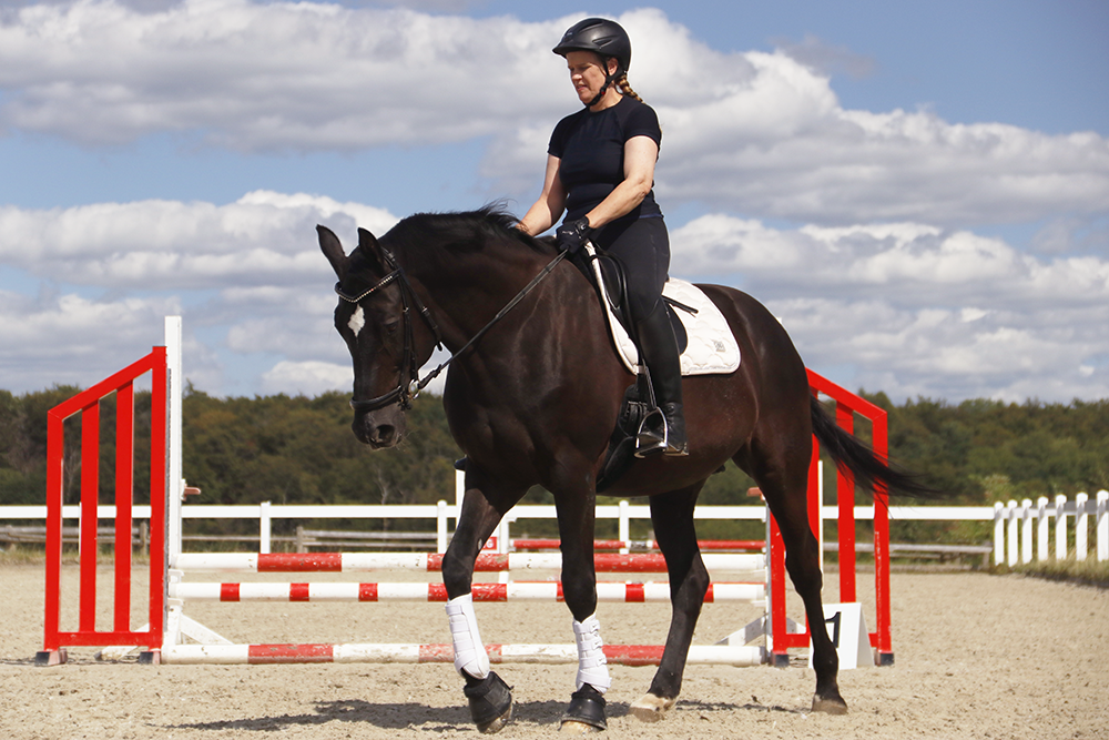 Reitschülerin auf dunkelbraunem Pferd auf Reitplatz unter blauem Himmel