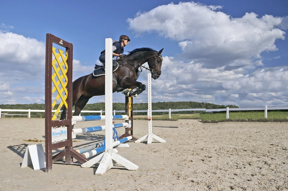 Reiterin auf schwarbraunem Pferd überspringt Hindernis auf Reitpplatz