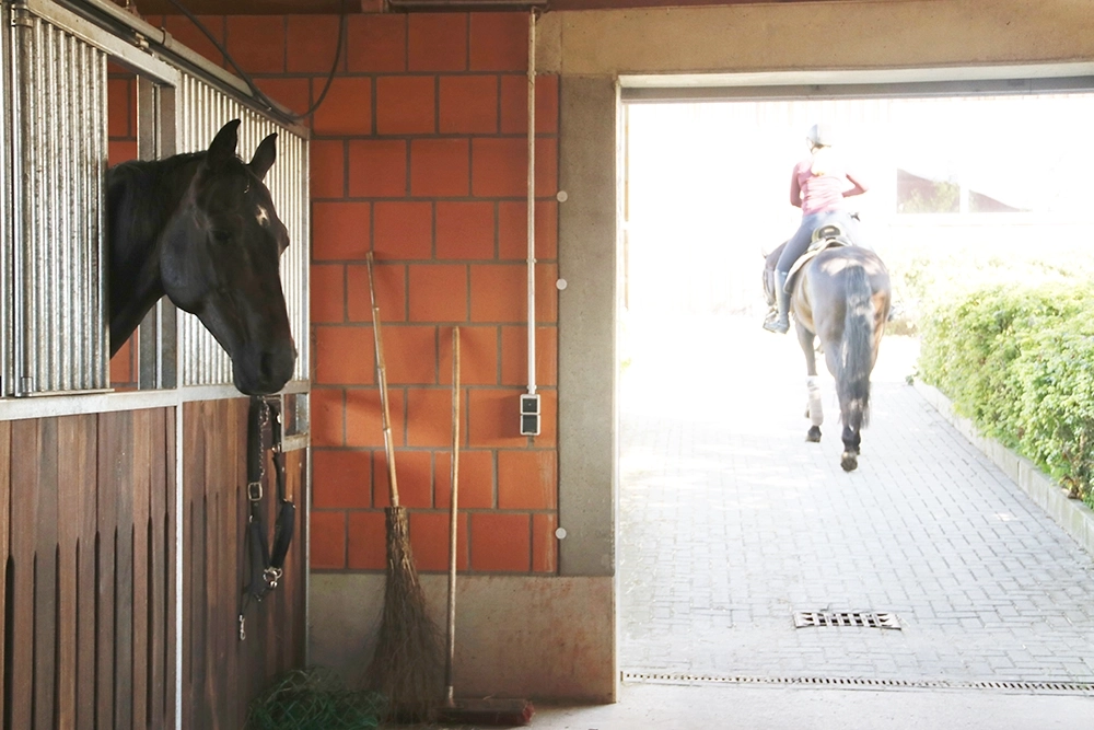 Person reitet langsam aus Stall heraus
