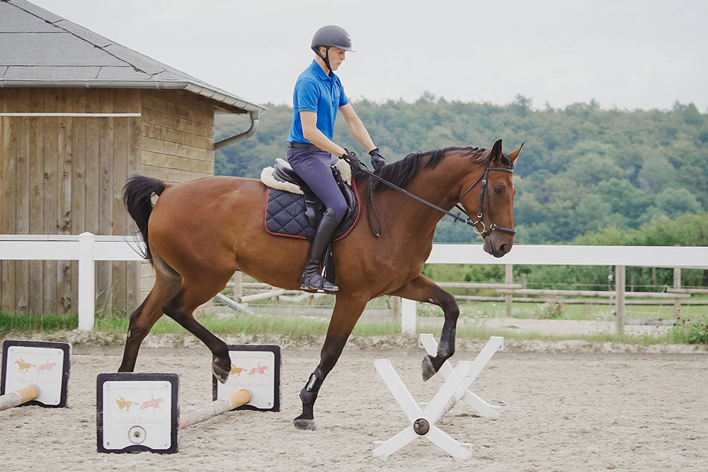 Philipp Pavel auf braunem Pferd überquert Hindernispfad