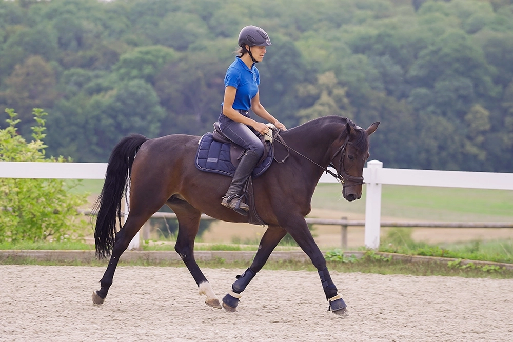 Leonie auf braunem Pferd, trägt Reithelm