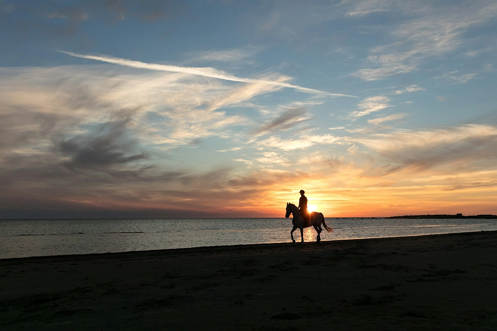 Eine Person reitet im Sonnenuntergang an Strand entlang